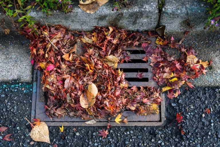 Seasonal Plumbing