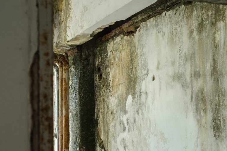 Mold Pipes