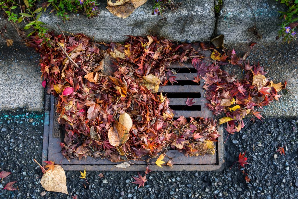 Seasonal Plumbing